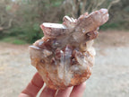 Natural Red Hematoid Phantom Quartz Crystal Clusters x 3 From Karoi, Zimbabwe - Toprock Gemstones and Minerals 