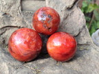Polished Small Carnelian Agate Gemstone Spheres x 6 From Madagascar - Toprock Gemstones and Minerals 