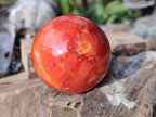 Polished Small Carnelian Agate Gemstone Spheres x 6 From Madagascar - Toprock Gemstones and Minerals 