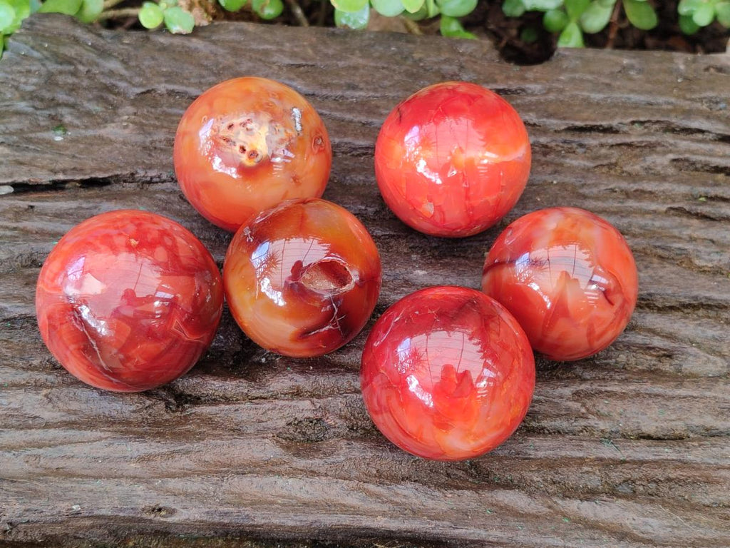 Polished Small Carnelian Agate Gemstone Spheres x 6 From Madagascar - Toprock Gemstones and Minerals 