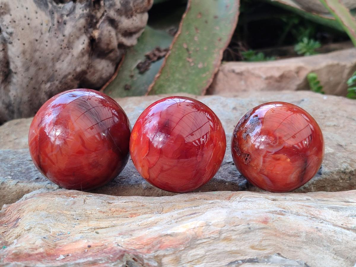 Polished Small Carnelian Agate Gemstone Spheres x 6 From Madagascar - Toprock Gemstones and Minerals 