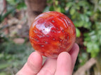 Polished Small Carnelian Agate Gemstone Spheres x 6 From Madagascar - Toprock Gemstones and Minerals 