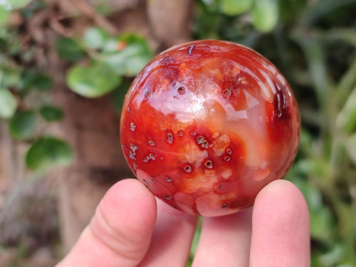 Polished Small Carnelian Agate Gemstone Spheres x 6 From Madagascar - Toprock Gemstones and Minerals 
