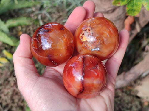 Polished Small Carnelian Agate Gemstone Spheres x 6 From Madagascar - Toprock Gemstones and Minerals 