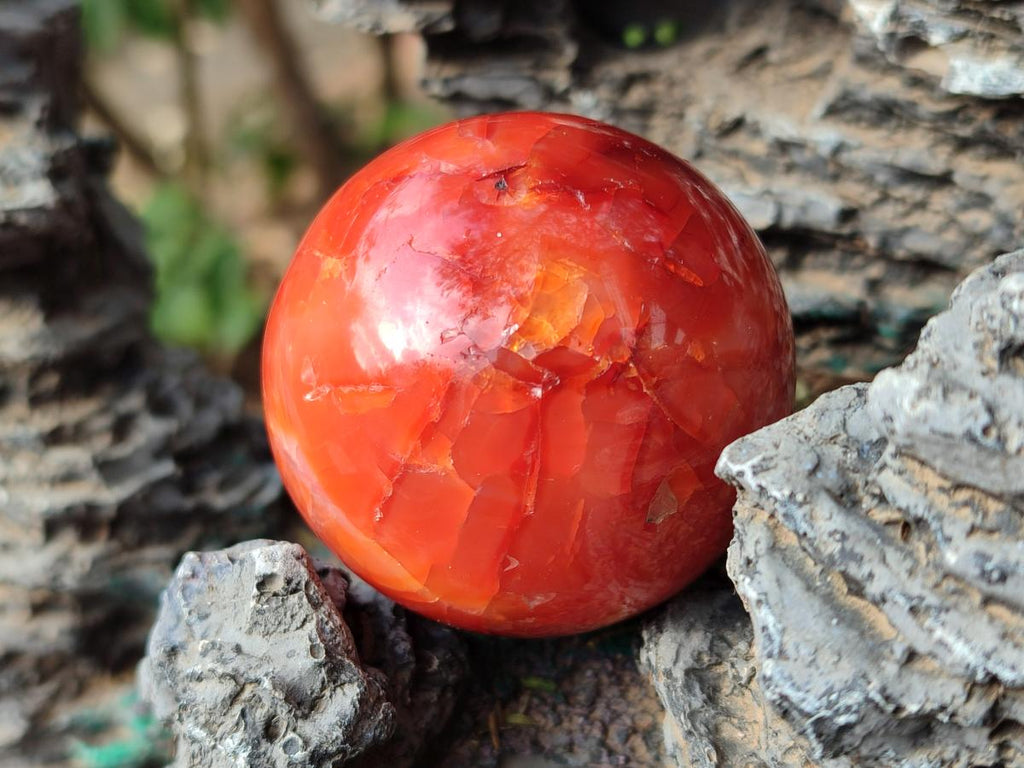Polished Small Carnelian Agate Gemstone Spheres x 6 From Madagascar - Toprock Gemstones and Minerals 