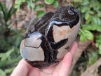 Polished Septerye Sauvage "Dragons Egg" Geode Standing Display Pieces x 2 From Mahajanga, Madagascar - Toprock Gemstones and Minerals 