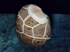 Polished Septerye Sauvage "Dragons Egg" Geode Standing Display Pieces x 2 From Mahajanga, Madagascar - Toprock Gemstones and Minerals 