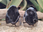 Polished Septerye Sauvage "Dragons Egg" Geode Standing Display Pieces x 2 From Mahajanga, Madagascar - Toprock Gemstones and Minerals 