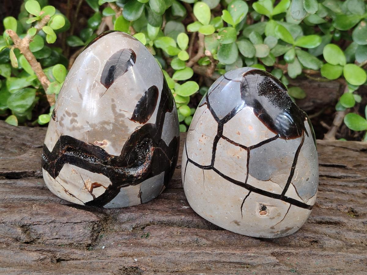Polished Septerye Sauvage "Dragons Egg" Geode Standing Display Pieces x 2 From Mahajanga, Madagascar - Toprock Gemstones and Minerals 