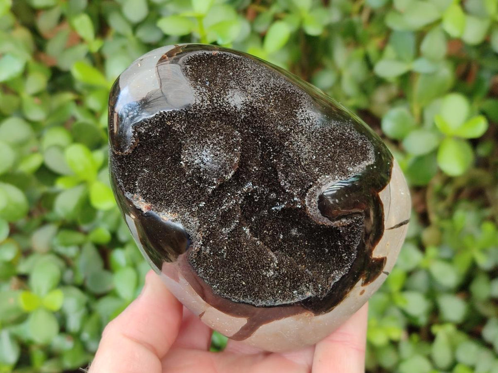 Polished Septerye Sauvage "Dragons Egg" Geode Standing Display Pieces x 2 From Mahajanga, Madagascar - Toprock Gemstones and Minerals 