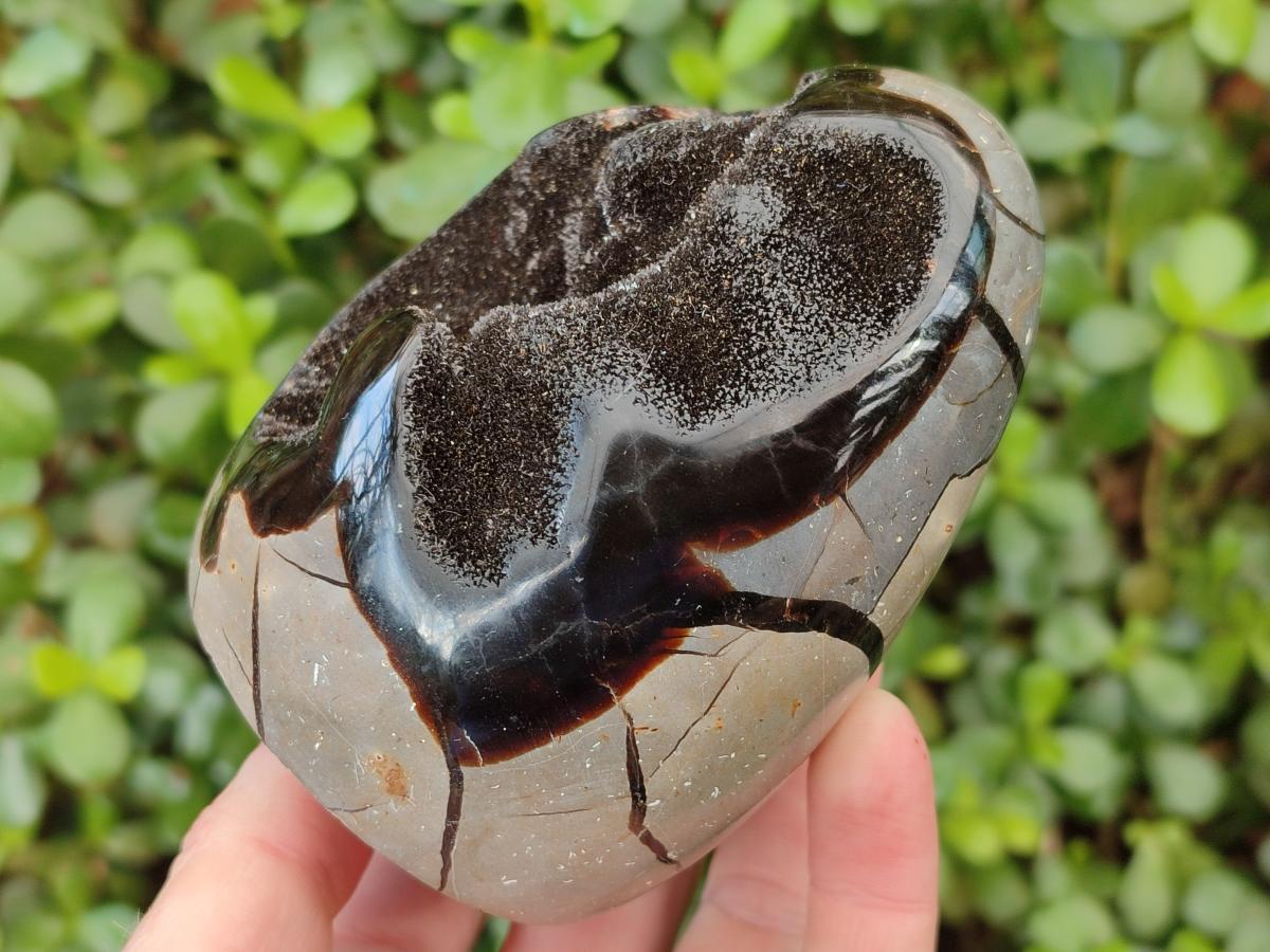 Polished Septerye Sauvage "Dragons Egg" Geode Standing Display Pieces x 2 From Mahajanga, Madagascar - Toprock Gemstones and Minerals 
