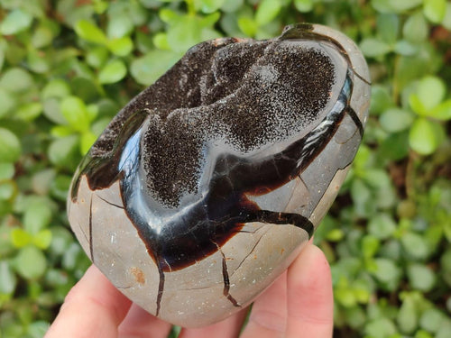 Polished Septerye Sauvage "Dragons Egg" Geode Standing Display Pieces x 2 From Mahajanga, Madagascar - Toprock Gemstones and Minerals 