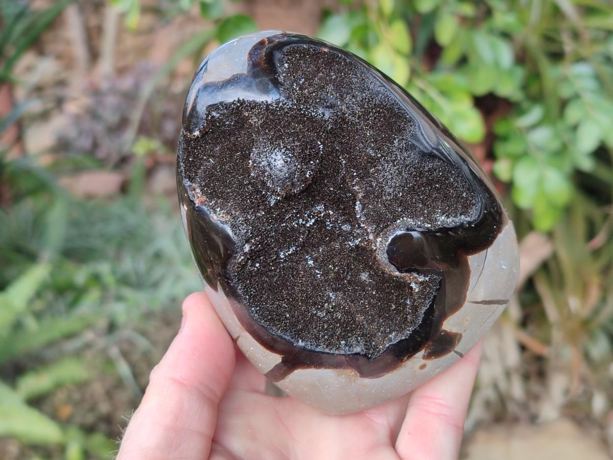 Polished Septerye Sauvage "Dragons Egg" Geode Standing Display Pieces x 2 From Mahajanga, Madagascar - Toprock Gemstones and Minerals 