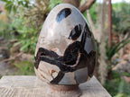 Polished Septerye Sauvage "Dragons Egg" Geode Standing Display Pieces x 2 From Mahajanga, Madagascar - Toprock Gemstones and Minerals 