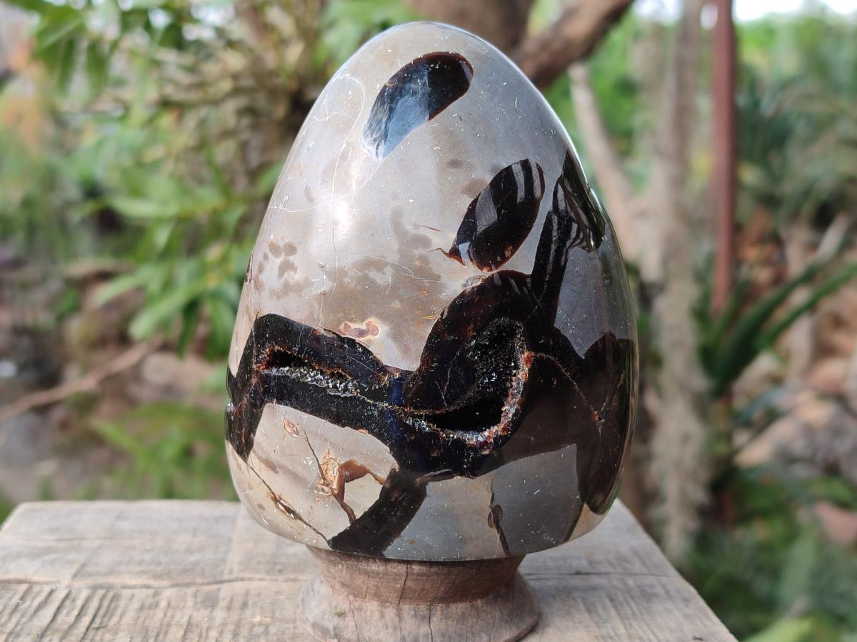 Polished Septerye Sauvage "Dragons Egg" Geode Standing Display Pieces x 2 From Mahajanga, Madagascar - Toprock Gemstones and Minerals 