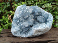 Natural Large Blue Celestite Specimen x 1 From Sakoany, Madagascar - Toprock Gemstones and Minerals 