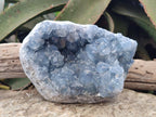 Natural Large Blue Celestite Specimen x 1 From Sakoany, Madagascar - Toprock Gemstones and Minerals 