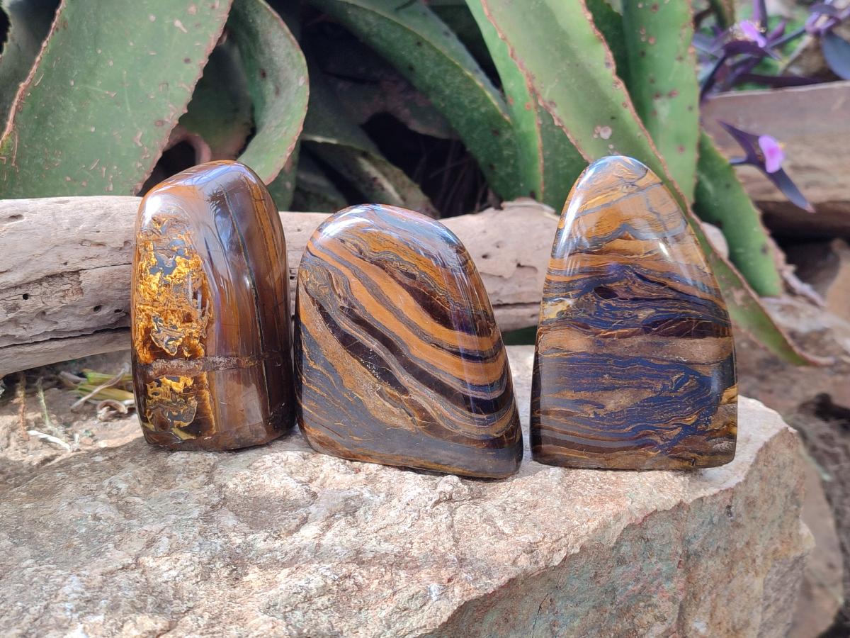 Polished Golden Tigers Eye Standing Display Pieces x 3 From Prieska, South Africa - Toprock Gemstones and Minerals 