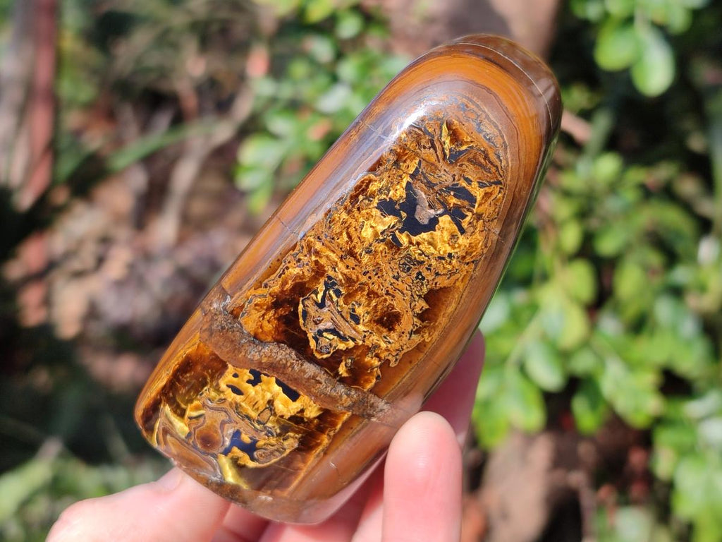 Polished Golden Tigers Eye Standing Display Pieces x 3 From Prieska, South Africa - Toprock Gemstones and Minerals 