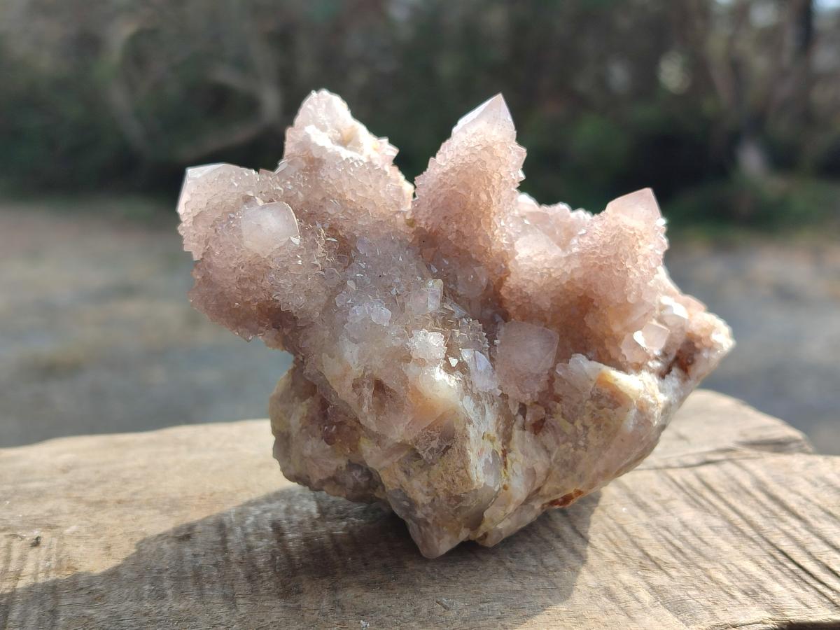 Natural Spirit Quartz Clusters x 6 From Boekenhouthoek, South Africa - Toprock Gemstones and Minerals 