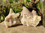 Natural Spirit Quartz Clusters x 6 From Boekenhouthoek, South Africa - Toprock Gemstones and Minerals 