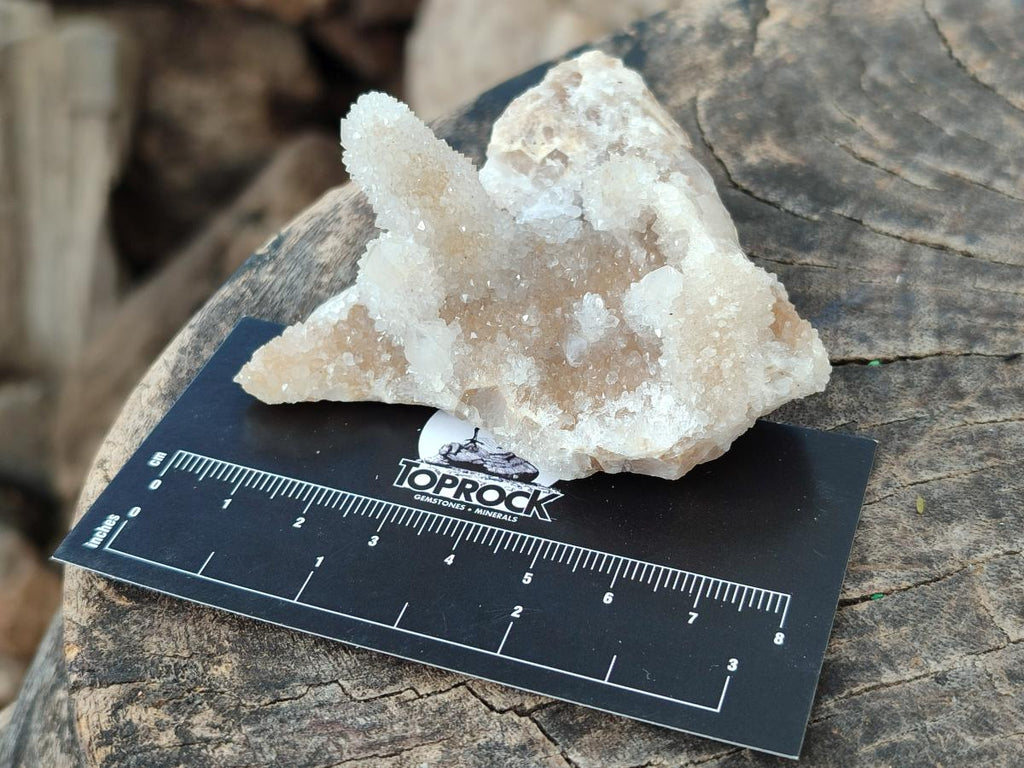 Natural Spirit Quartz Clusters x 6 From Boekenhouthoek, South Africa - Toprock Gemstones and Minerals 
