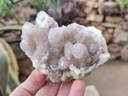 Natural Spirit Quartz Clusters x 6 From Boekenhouthoek, South Africa - Toprock Gemstones and Minerals 
