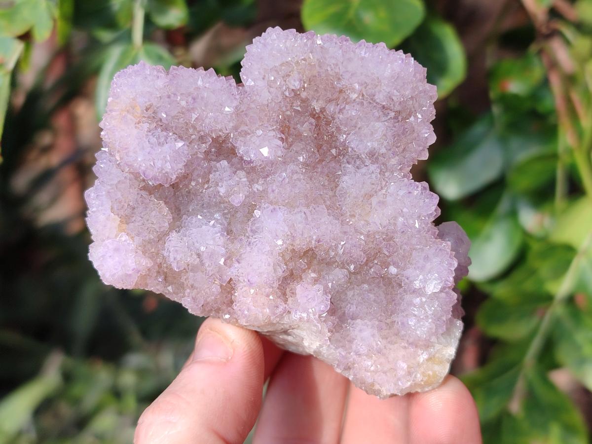 Natural Spirit Quartz Clusters x 6 From Boekenhouthoek, South Africa - Toprock Gemstones and Minerals 