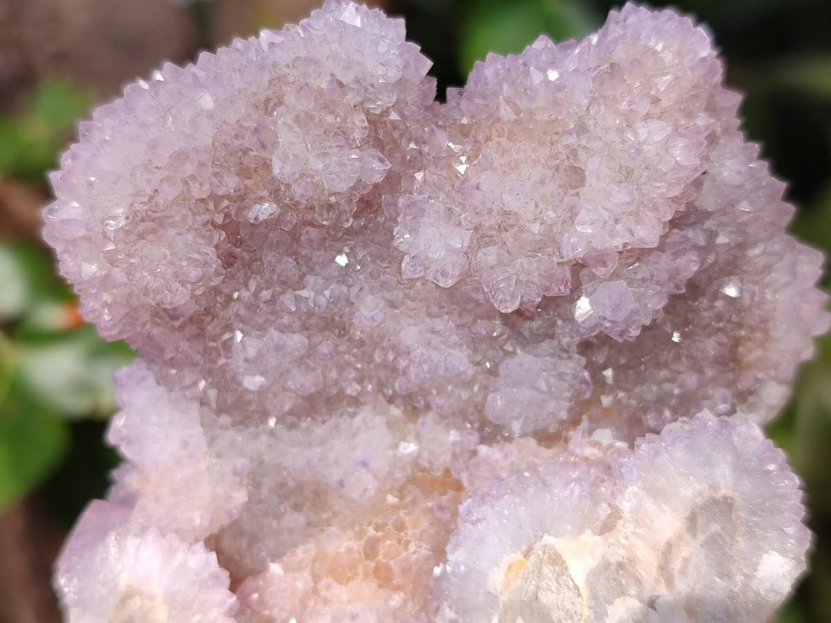Natural Spirit Quartz Clusters x 6 From Boekenhouthoek, South Africa - Toprock Gemstones and Minerals 