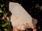 Natural Malagasy Quartz Clusters x 13 From Madagascar