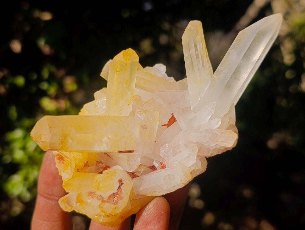 Natural Malagasy Quartz Clusters x 13 From Madagascar
