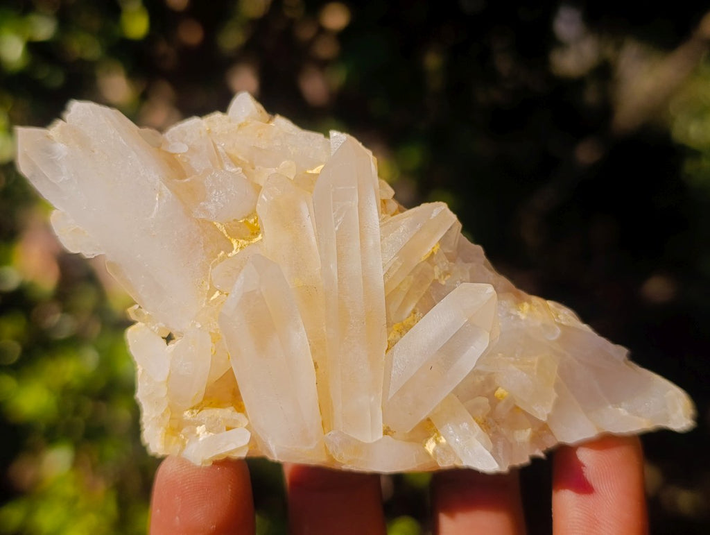 Natural Malagasy Quartz Clusters x 13 From Madagascar