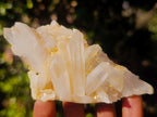 Natural Malagasy Quartz Clusters x 13 From Madagascar