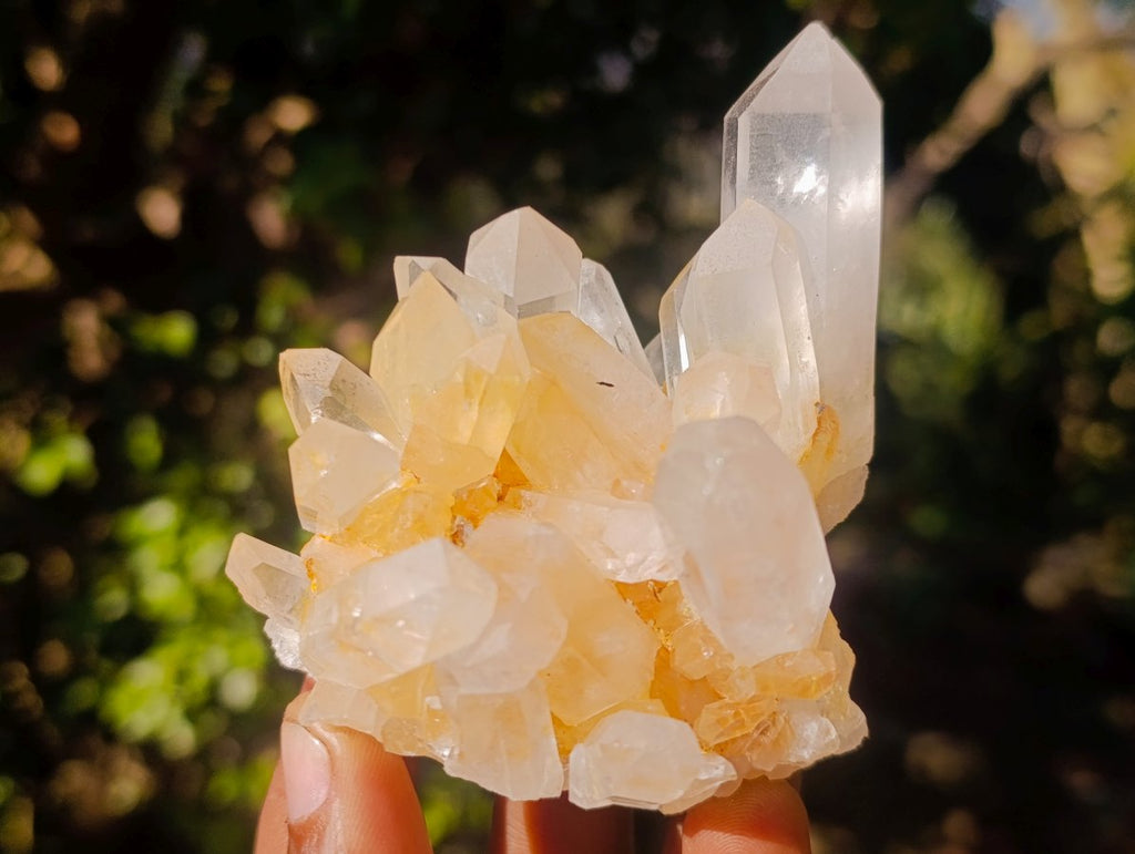 Natural Malagasy Quartz Clusters x 13 From Madagascar