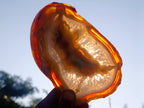 Polished and Natural Large Banded Agate Slices with Natural Edging x 6 From Madagascar