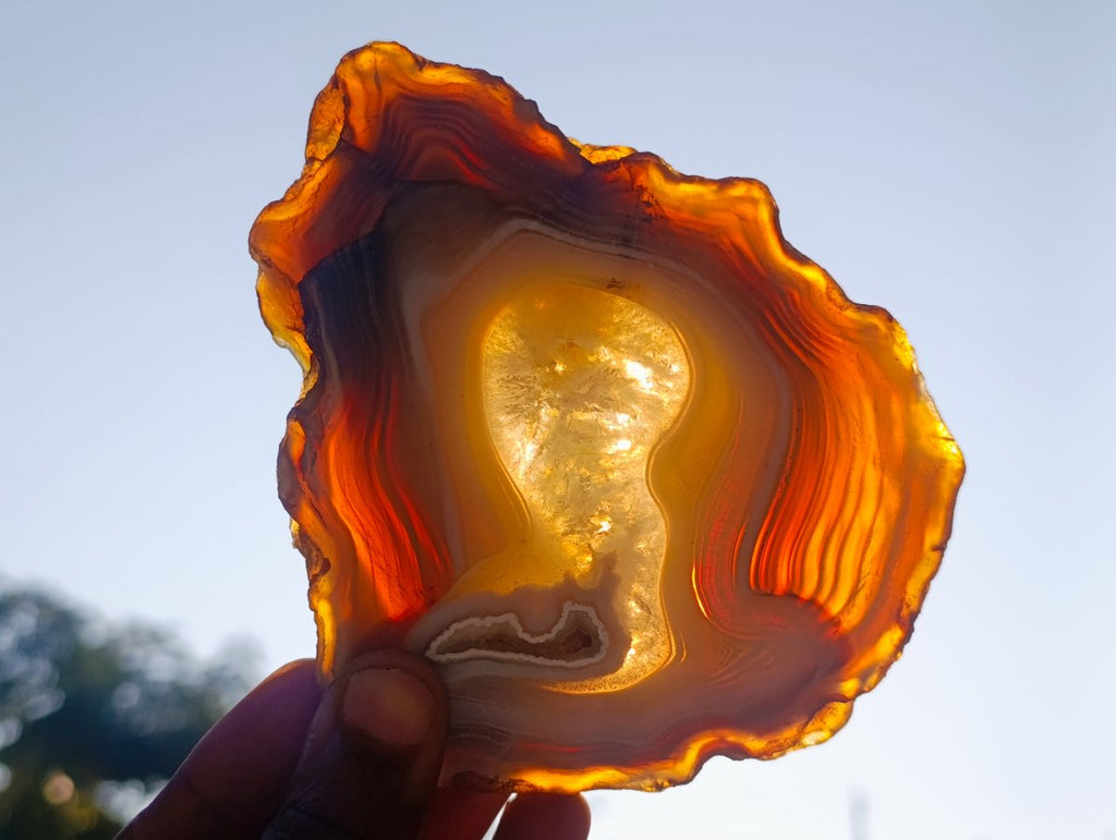 Polished and Natural Large Banded Agate Slices with Natural Edging x 6 From Madagascar