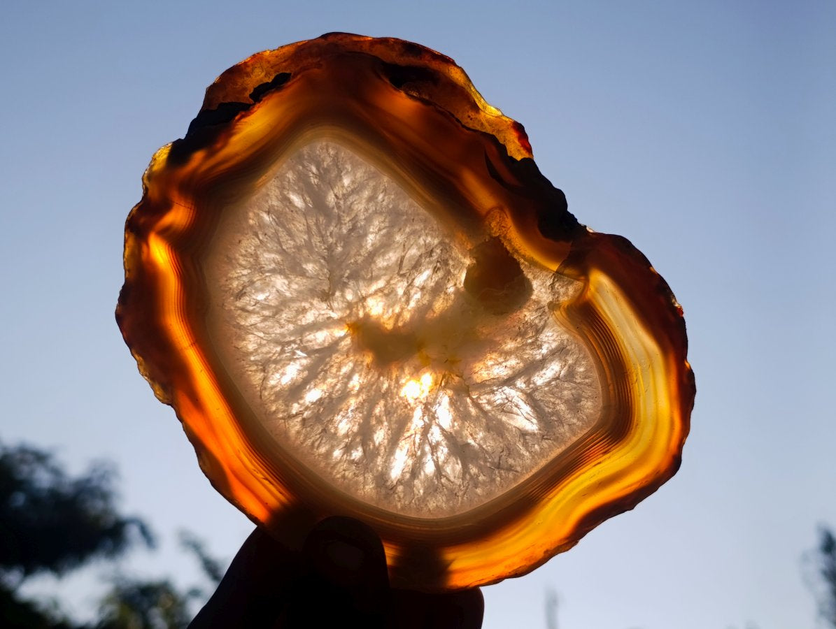 Polished and Natural Large Banded Agate Slices with Natural Edging x 6 From Madagascar