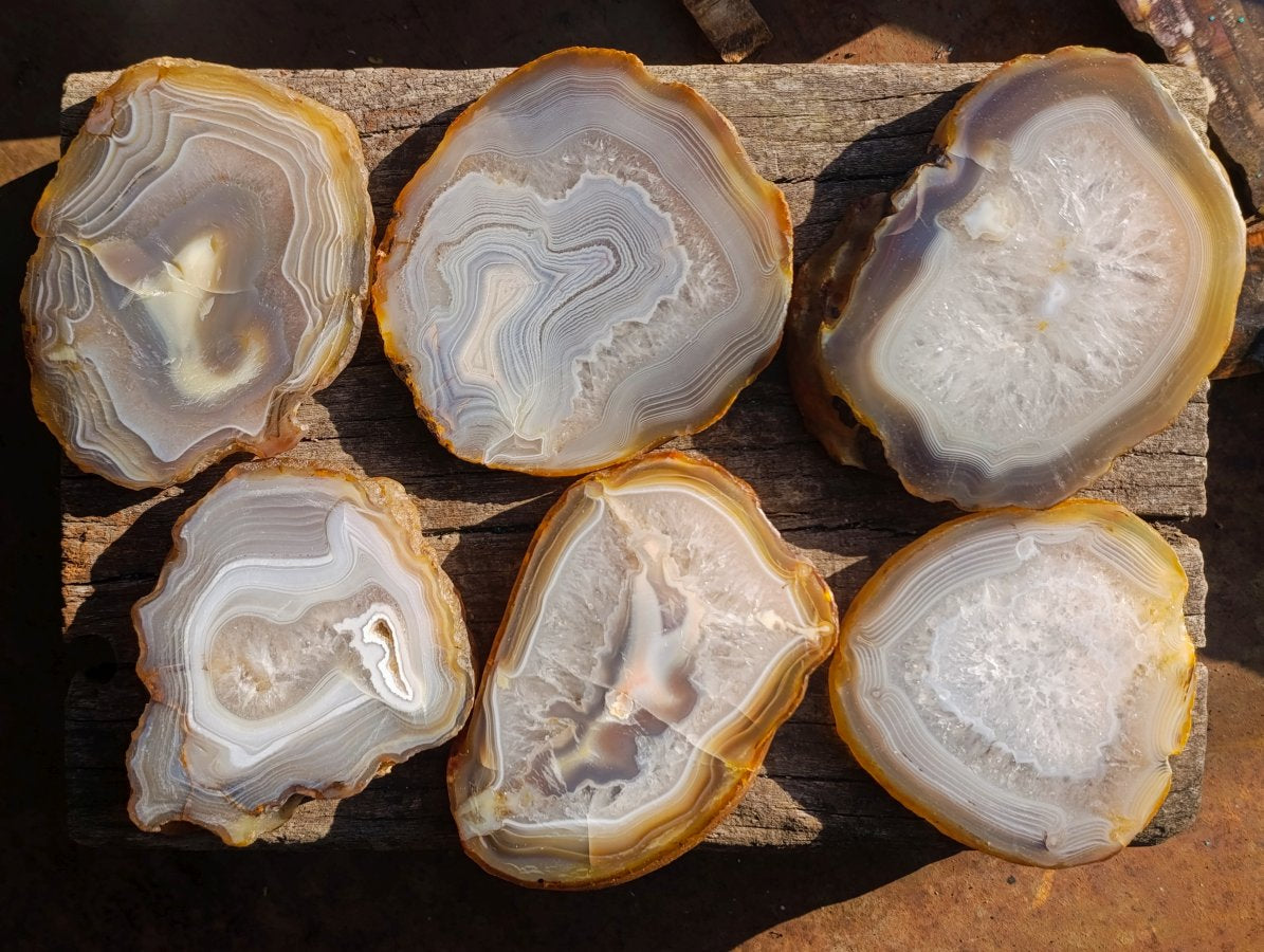 Polished and Natural Large Banded Agate Slices with Natural Edging x 6 From Madagascar