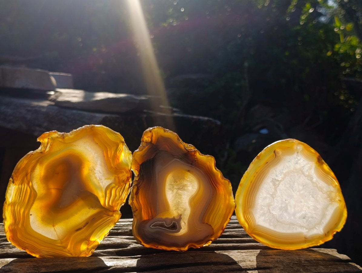 Polished and Natural Large Banded Agate Slices with Natural Edging x 6 From Madagascar