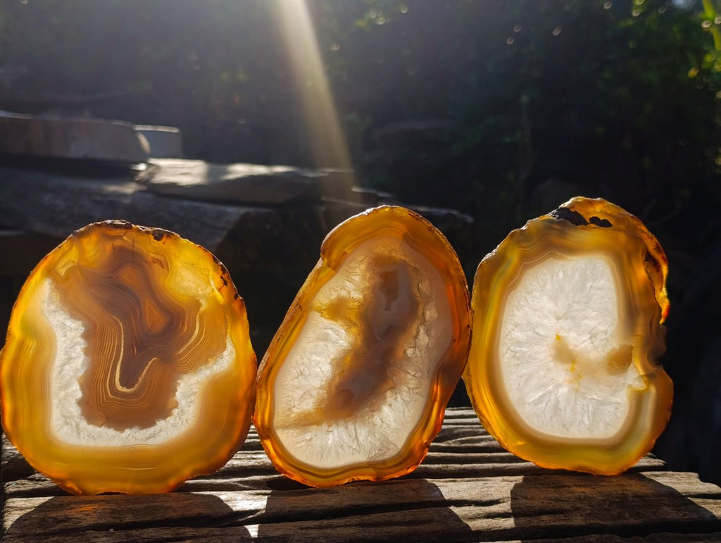 Polished and Natural Large Banded Agate Slices with Natural Edging x 6 From Madagascar