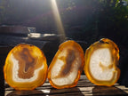 Polished and Natural Large Banded Agate Slices with Natural Edging x 6 From Madagascar