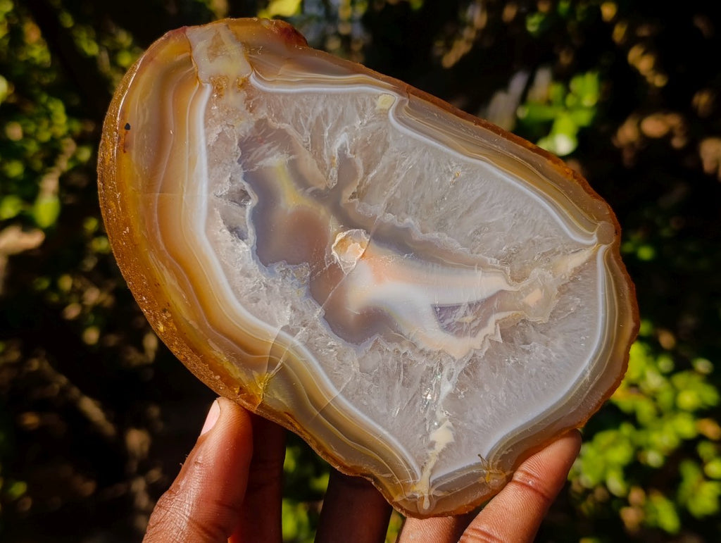 Polished and Natural Large Banded Agate Slices with Natural Edging x 6 From Madagascar