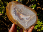 Polished and Natural Large Banded Agate Slices with Natural Edging x 6 From Madagascar