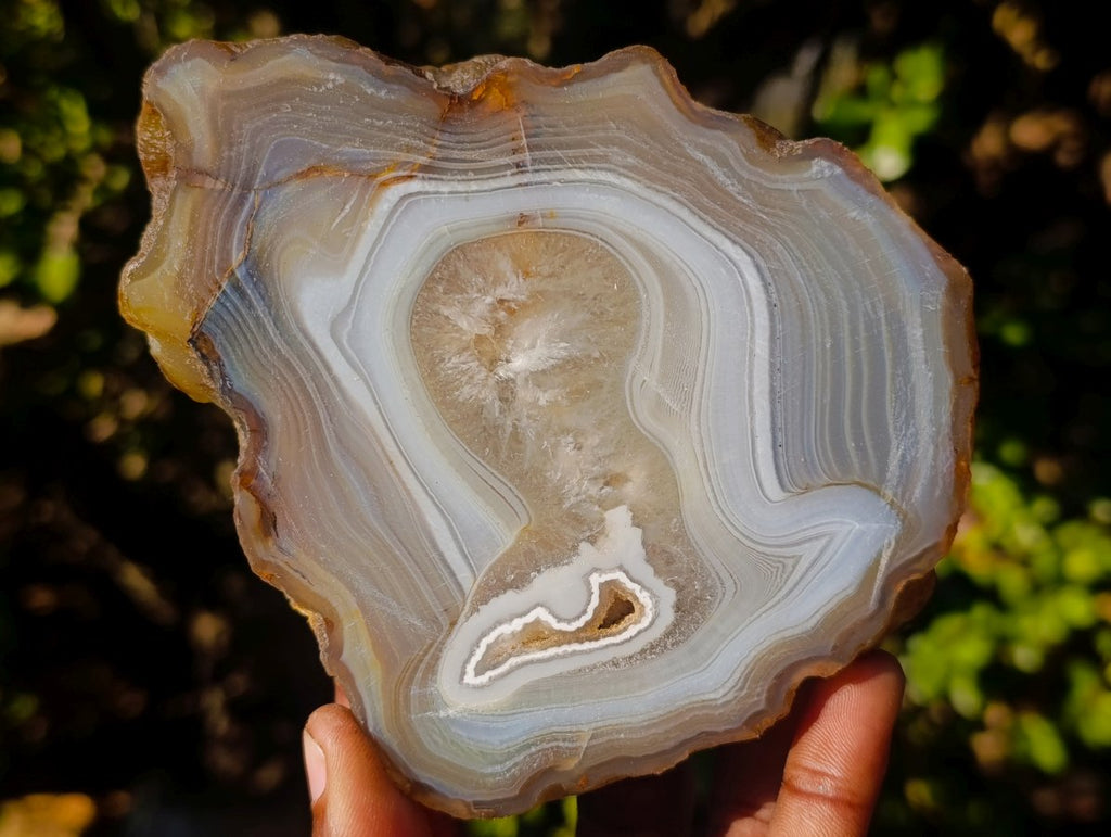 Polished and Natural Large Banded Agate Slices with Natural Edging x 6 From Madagascar