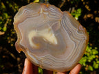 Polished and Natural Large Banded Agate Slices with Natural Edging x 6 From Madagascar