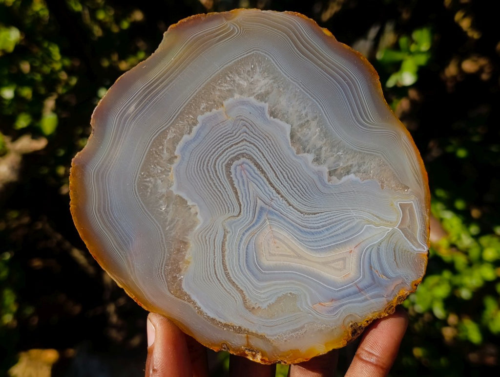 Polished and Natural Large Banded Agate Slices with Natural Edging x 6 From Madagascar
