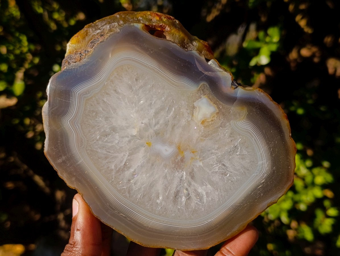 Polished and Natural Large Banded Agate Slices with Natural Edging x 6 From Madagascar