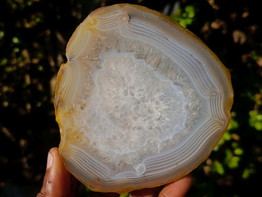 Polished and Natural Large Banded Agate Slices with Natural Edging x 6 From Madagascar