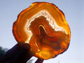 Polished and Natural Large Banded Agate Slices with Natural Edging x 6 From Madagascar