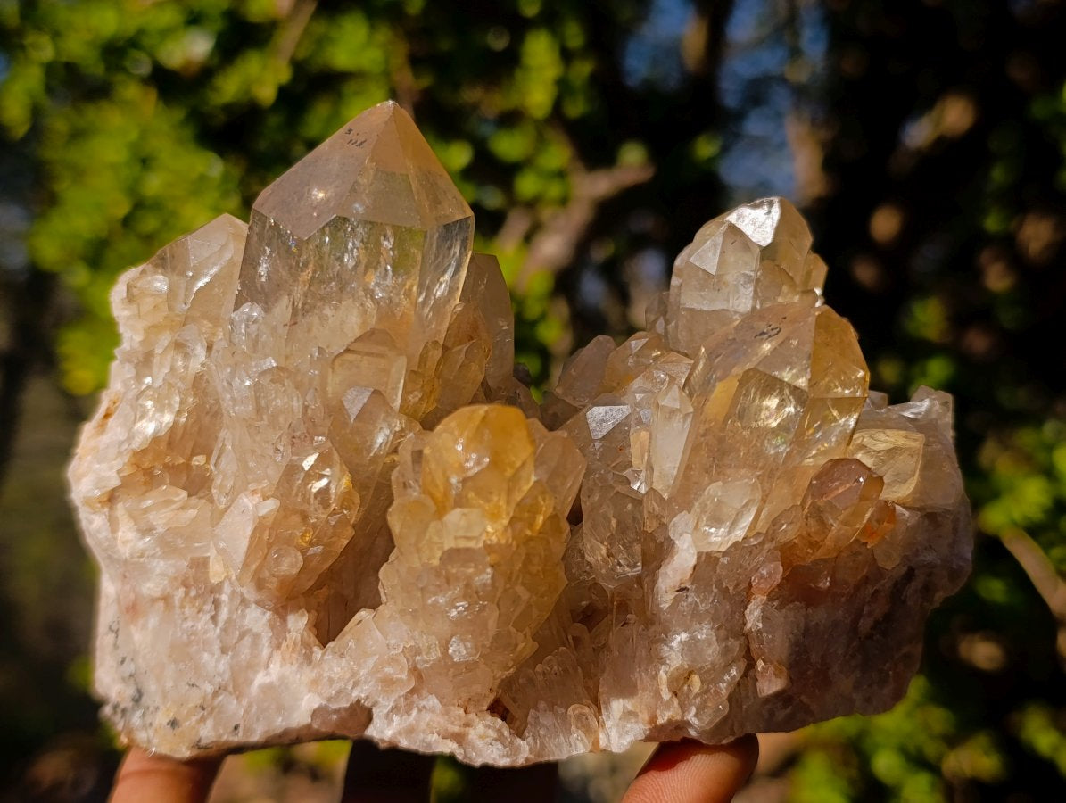 Natural Large Cascading Smokey Citrine Luena Quartz Crystal Cluster x 1 From Luena, Congo
